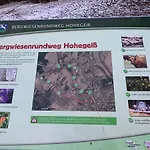 Gemuetliche Ferienwohnung Harz Braunlage Hohegeiss