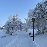 Gemuetliche Ferienwohnung Harz Braunlage Hohegeiss