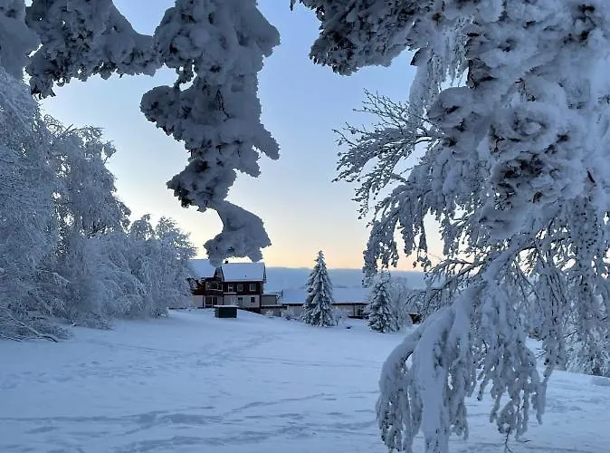 Gemuetliche Ferienwohnung Harz Braunlage Hohegeiss