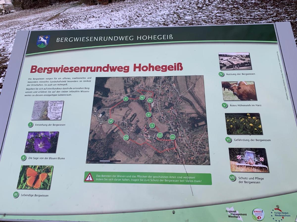 Gemuetliche Harz Hohegeiss Braunlage