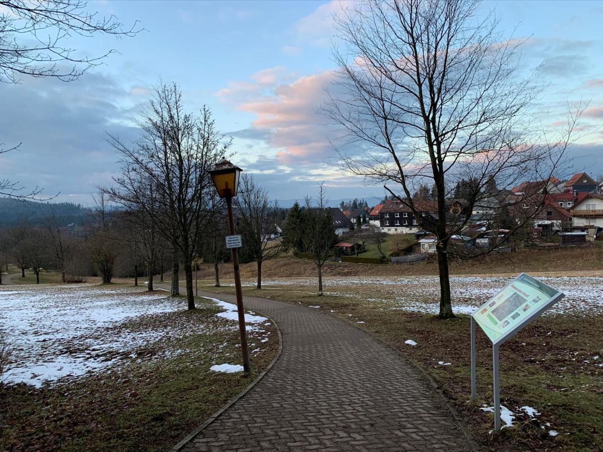 Gemuetliche Harz Hohegeiss Lejlighed Braunlage