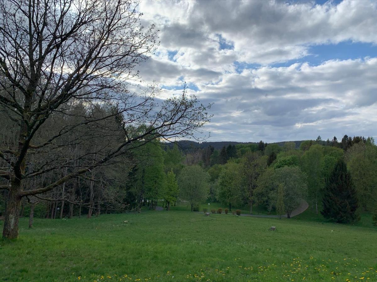 Gemuetliche Harz Hohegeiss Lejlighed Braunlage