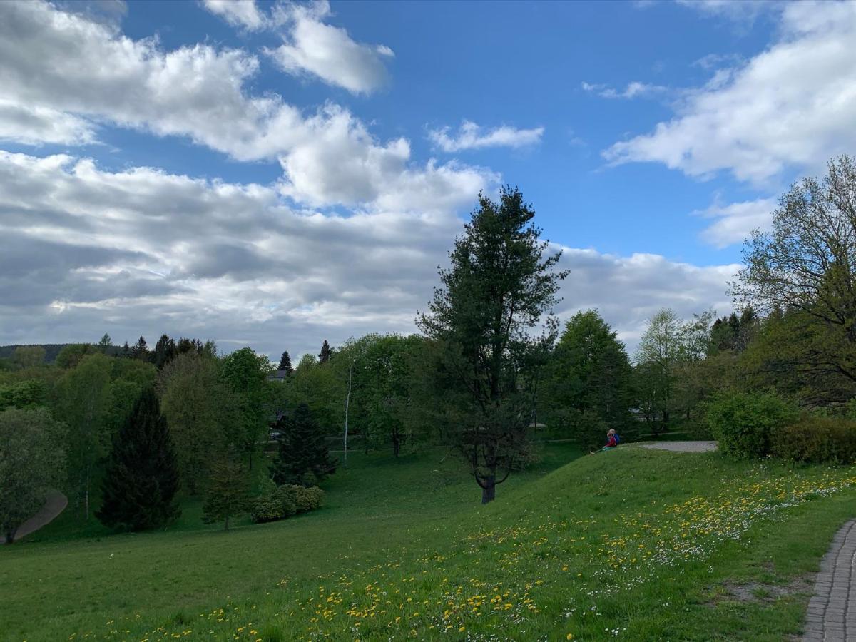 Gemuetliche Harz Hohegeiss Braunlage