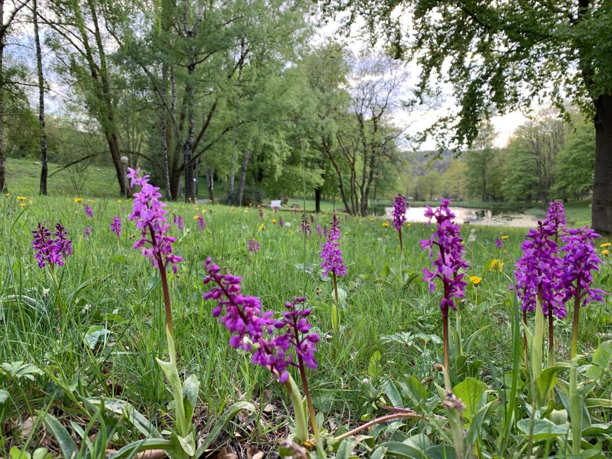 Lejlighed Gemuetliche Harz Hohegeiss *
