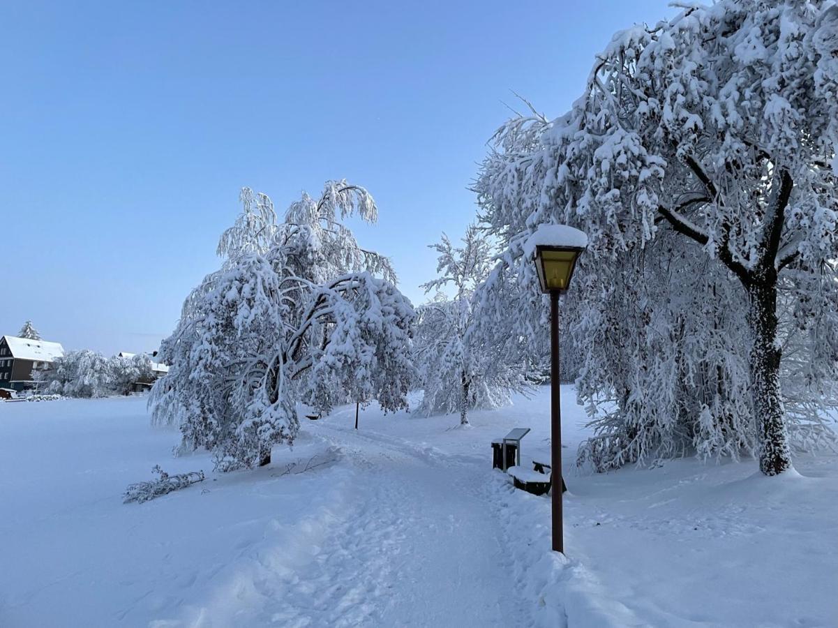 Lejlighed Gemuetliche Harz Hohegeiss