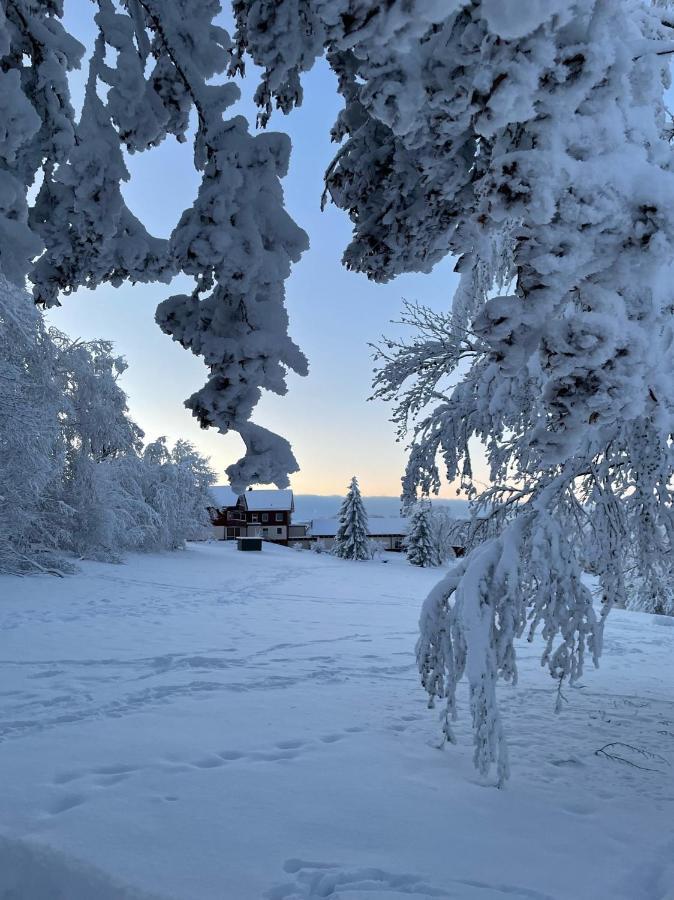 Gemuetliche Harz Hohegeiss Lejlighed *