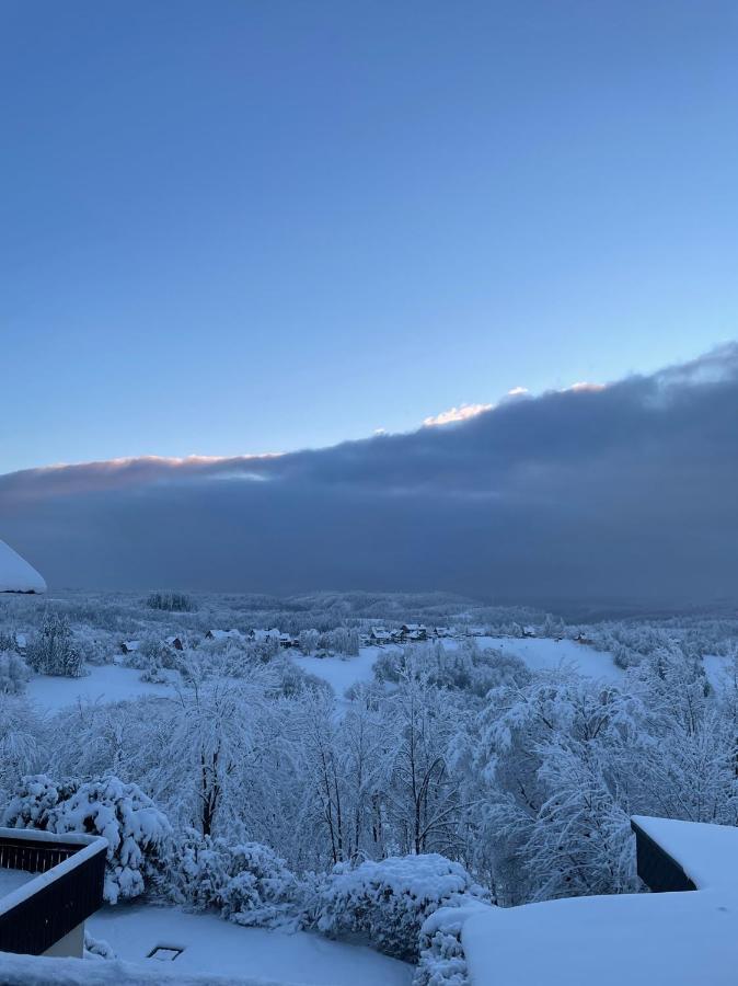 Gemuetliche Harz Hohegeiss Appartement Braunlage